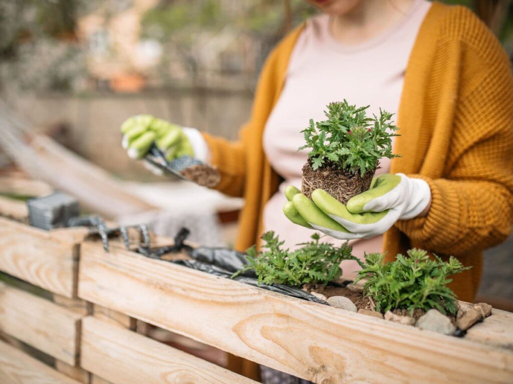 woman gardening