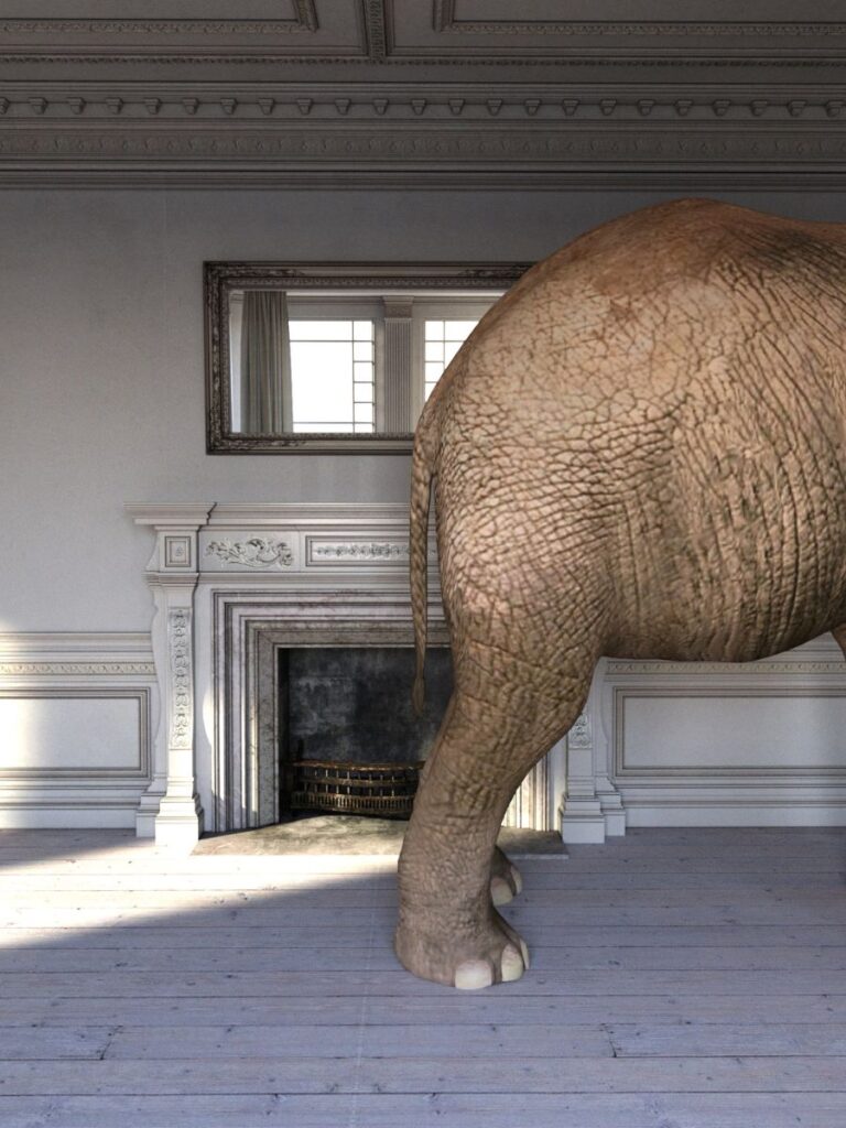 back end of an elephant in a room 